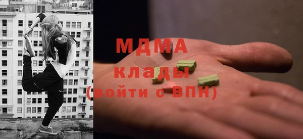 хмурый Алексин