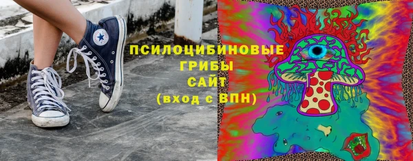 гидра Абаза