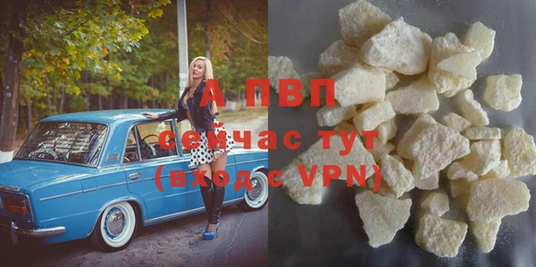 гидра Абаза