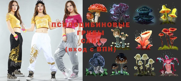 соль ск Абинск