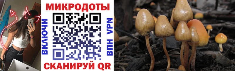 Псилоцибиновые грибы прущие грибы где купить Красновишерск